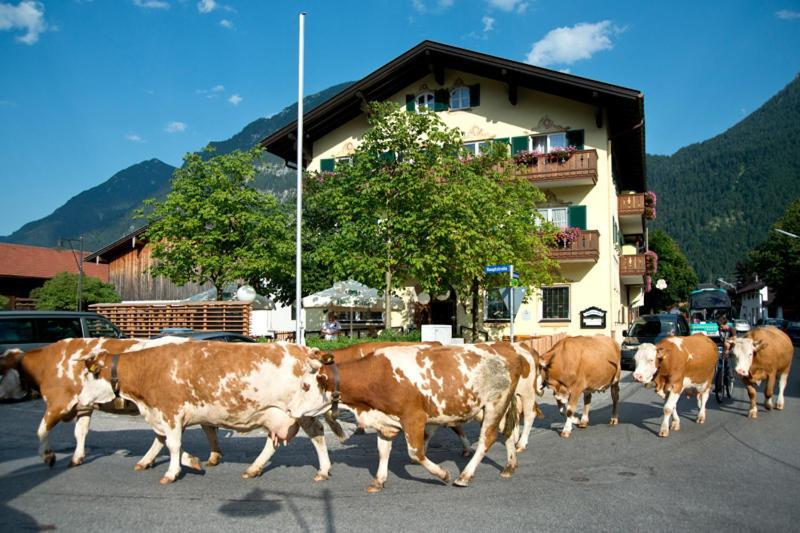 Hotel Gasthof Alter Wirt Farchant Extérieur photo